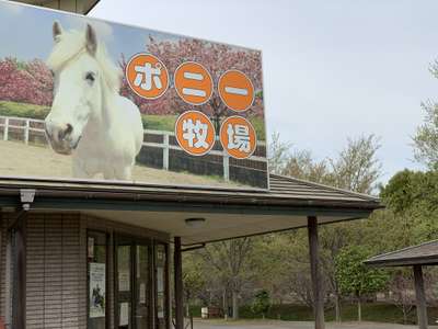 ネーブルパーク アパホテル 茨城古河駅前 のブログ 宿泊予約は じゃらん