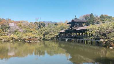 平安神宮 ホテルウィングインターナショナルプレミアム京都三条のブログ 宿泊予約は じゃらん