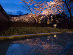 夜桜ライトアップ風呂 星野リゾート 界 鬼怒川のブログ 宿泊予約は じゃらん