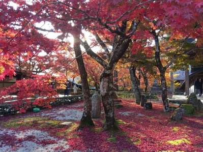 滋賀 石山寺 京都 永観堂の紅葉が見頃を迎えました クサツエストピアホテル Jr草津駅徒歩３分 駐車無料のブログ 宿泊予約は じゃらん