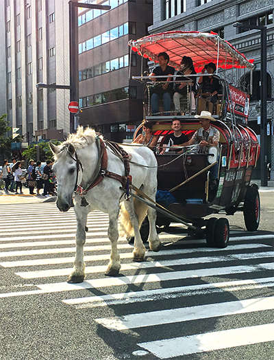 観光幌馬車 ａｎａホリデイ イン札幌すすきののブログ 宿泊予約は じゃらん