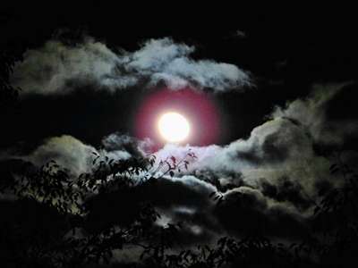 月明りに照らされた雲がとても綺麗だったので ご当地グルメ特集 じゃらんnet