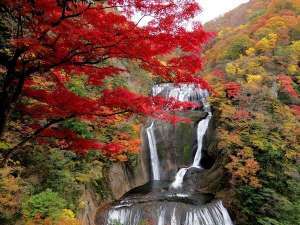 袋田の滝 紅葉が見頃です ホテルクラウンヒルズ勝田２号元町店のブログ 宿泊予約は じゃらん