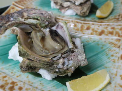 今が旬のとり貝と岩ガキを食してみませんか 希少 地元漁港の朝獲れ鮮魚を毎日厳選 新海荘 夕日ヶ浦温泉 のブログ 宿泊予約は じゃらん