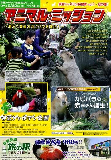 消えた黄金のカピバラを探せ!