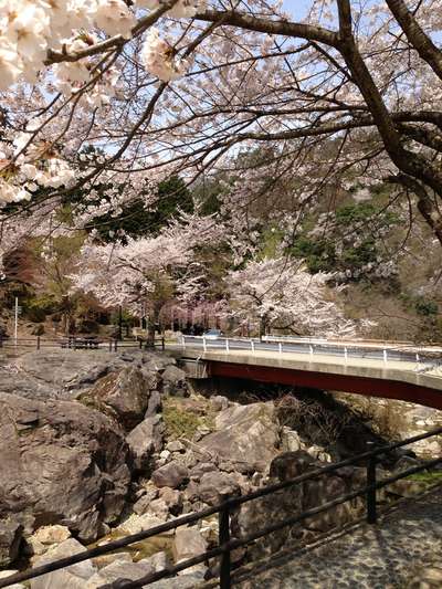 湖東平野