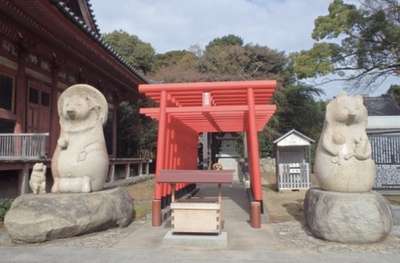 第８４番札所屋島寺とぽんぽこ狸 ビジネスホテル サンシャイン高松のブログ 宿泊予約は じゃらん