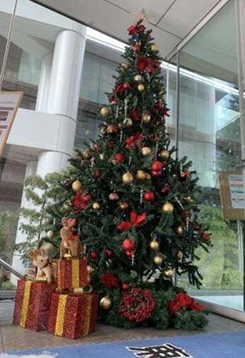 東京グリーンパレスにクリスマスツリー登場 東京グリーンパレスのブログ 宿泊予約は じゃらん