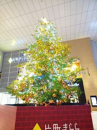 大きなクリスマスツリー アパホテル 金沢中央 のブログ 宿泊予約は じゃらん 大きなクリスマスツリー アパホテル 金沢中央 のブログ 宿泊予約は じゃらん