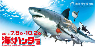 海のハンター展 アパホテル 御徒町駅北 ｓのブログ 宿泊予約は じゃらん