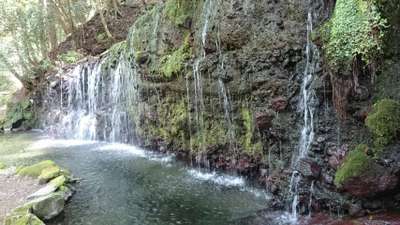 マイナスイオンが溢れちゃう 箱根湯本温泉 ホテル南風荘のお知らせ 宿泊予約は じゃらん