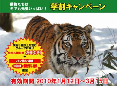 富士サファリパーク 3 15まで学割キャンペーン 富士山を望む高台の宿 クレッシェンドのブログ 宿泊予約は じゃらん