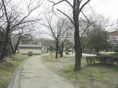 天神中央公園の桜 コートホテル福岡天神のブログ 宿泊予約は じゃらん