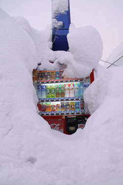 大雪 新潟