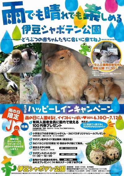 伊豆シャボテン公園イベント情報 プチホテル 伊豆シャボテンヴィレッジのブログ 宿泊予約は じゃらん