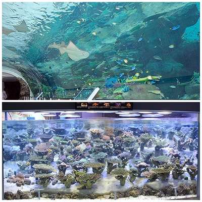 名古屋港水族館 リニューアル ｊｒ西日本グループ ヴィアイン名古屋新幹線口のブログ 宿泊予約は じゃらん