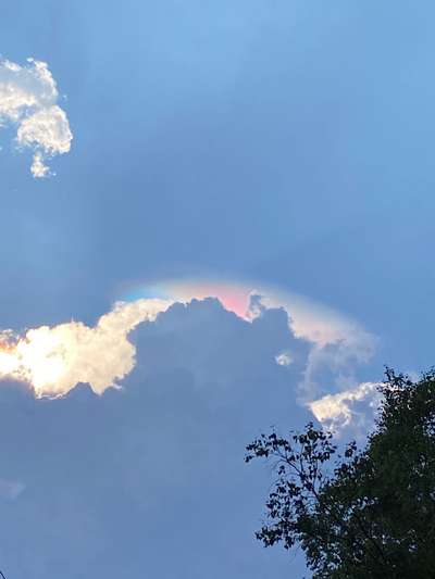 珍しい雲 頭巾雲 と出会えた O 車山高原 整体 アロマの宿 リゾートインミスティのブログ 宿泊予約は じゃらん