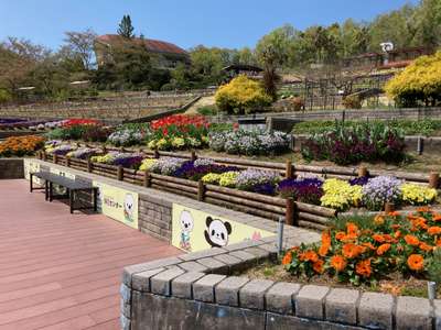 植物公園緑化センター コンフォートホテル和歌山のブログ 宿泊予約は じゃらん