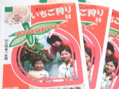 立ったまま綺麗な完熟イチゴが食べれます。