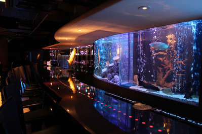 大きな水槽のある中洲のバー ホテル法華クラブ福岡のブログ 宿泊予約は じゃらん