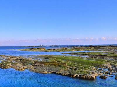 目の前の磯で 磯遊びをしよう 南房総温泉 白浜オーシャンリゾート 旧リゾートイン白浜 のブログ 宿泊予約は じゃらん