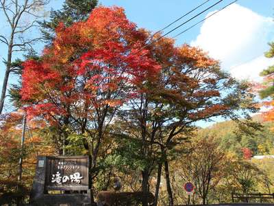 紅葉 蓼科高原は今が見頃です 蓼科グランドホテル 滝の湯のブログ 宿泊予約は じゃらん