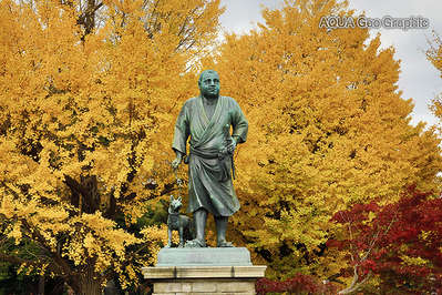 上野恩賜公園の紅葉情報 ホテルマイステイズ浅草橋のブログ 宿泊予約は じゃらん