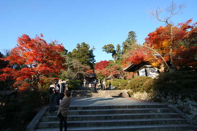 南天苑発 奥河内の紅葉スポット 観心寺 大正浪漫の趣き 天見温泉 南天苑のブログ 宿泊予約は じゃらん