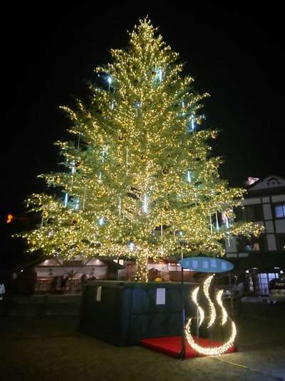 巨大クリスマスツリー点灯 全室露天風呂付き 湯宿 いわふじのブログ 宿泊予約は じゃらん