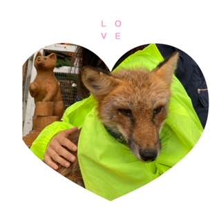 宮城県キツネ村へようこそ テンザ ホテル 仙台ステーションのブログ 宿泊予約は じゃらん