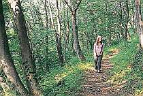 宿の横には森林浴散歩コースもあり　神鍋山山頂まで２０～３０分。