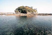 恵比須島の周囲は浅くて波も静かで魚がいっぱい