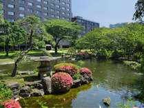 ★池の色鮮やかな錦鯉が泳ぐ姿を見ながら日本庭園散策もお楽しみいただけます。