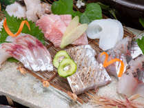 *【お造り】和歌山県産の質にこだわった新鮮な魚介をお造りで！（一例）