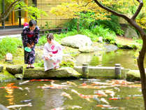 【日本庭園】ラウンジ前の庭園では色彩豊かな錦鯉が泳いでおります。