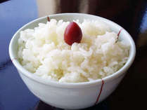 *新米！北アルプスの雪解け水で育った「重柳米」！名水で育ったお米はふっくらとして甘みも抜群です。