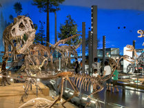 【恐竜博物館】恐竜王国福井を象徴する「福井県恐竜博物館」