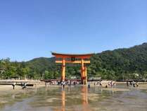 宮島「厳島神社 鳥居」干潮時は歩いて鳥居が観賞できます。