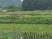 静寂の里山で湯っくりと連泊はいかがですか？