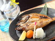 日本海の高級魚。脂のしっかりのった「のどぐろ一夜干し」。白身のトロと言われる濃厚な味わいを
