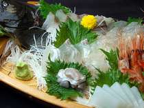 日本海で獲れた魚介類を舟に盛る「舟盛」のお刺身を豪快にどうぞ！