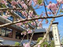 【外観】桜がお出迎え