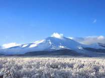 【ホテル・パノラマテラスからの景観】初冬に入り、純白の雪に染まる浅間山