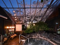 大浴場　高虎の湯　春は桜見風呂としても楽しめます