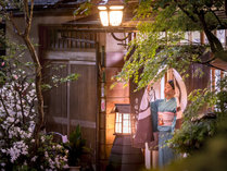 街中とは違う景色【趣きのある京都】雅な空間に酔いしれる旅
