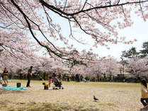 “日本有数の水濠公園”さくらの名所100選に選ばれた「古城公園」
