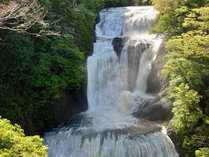 日本三名瀑の一つ袋田の滝