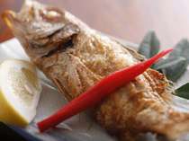 幻の高級魚。白身のトロと呼ばれるノドグロは塩焼きで(一例）
