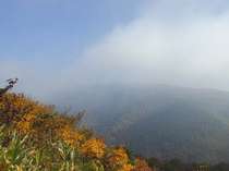 山頂から秋の靄