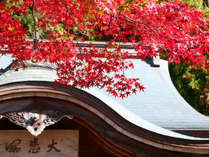 【篠栗四国八十八箇所・秋】のんびり紅葉を眺めて、ゆっくりとした時間を過ごすのはいかがでしょうか。